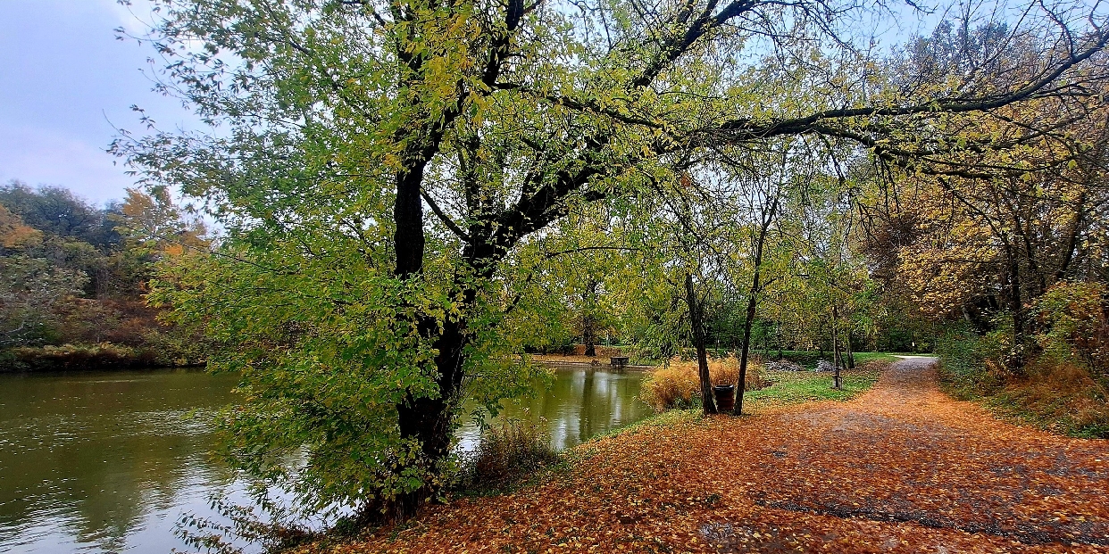 Időjárás – október utolsó hetében enyhe, szeles kezdés, majd napos, őszi idő várható