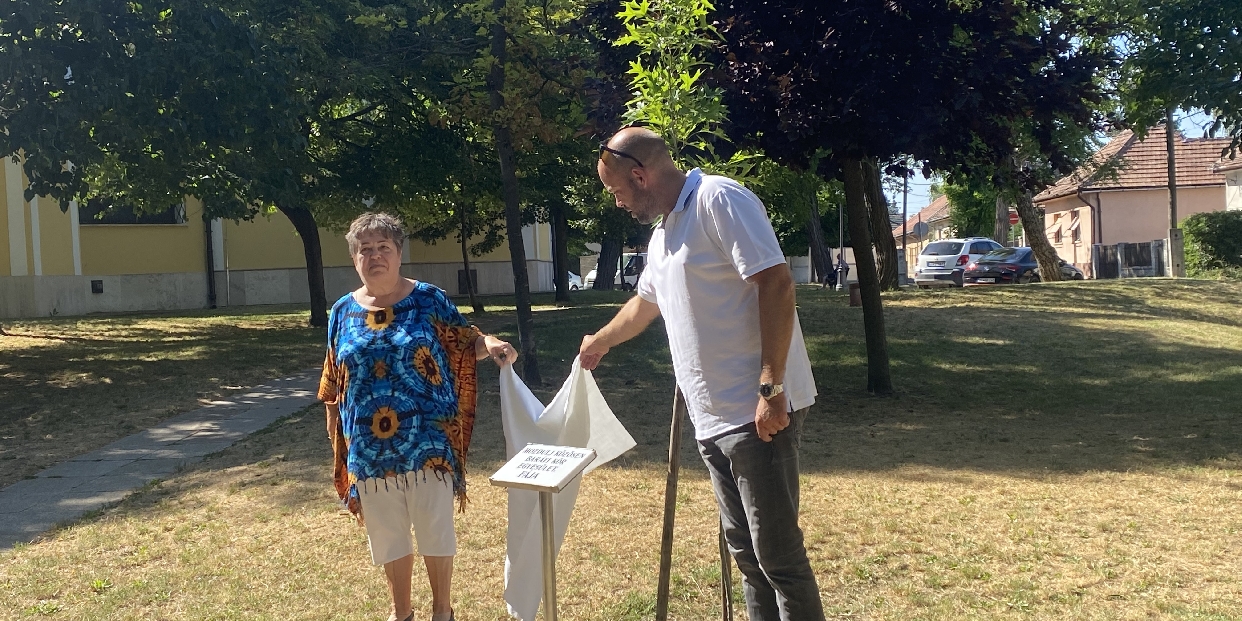 Táblát avattak a Templom téri emlékfánál