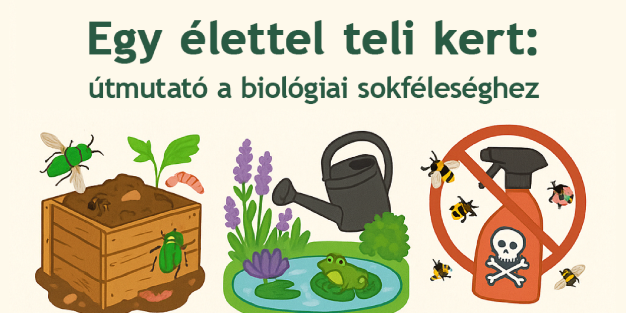 Egy élettel teli kert – kis lépésekkel a biológiai sokféleségért