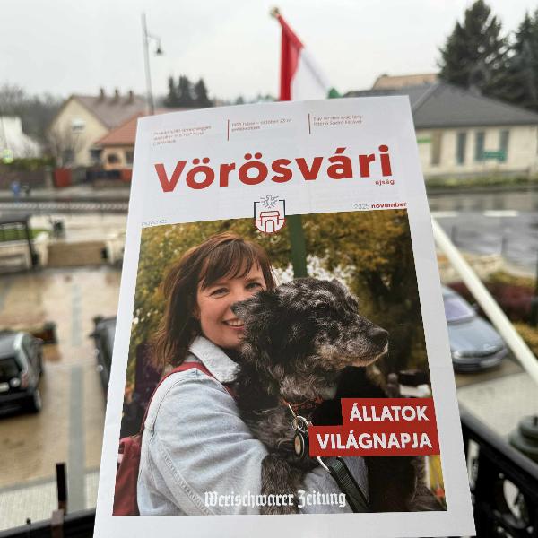 A borongós időre hoztunk egy kis olvasnivalót: megjelent a Vörösvári Újság novemberi száma