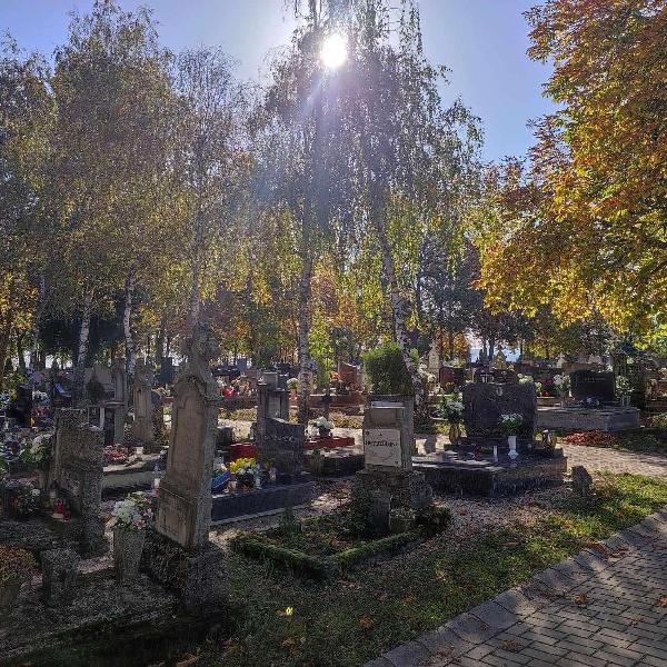 Megkezdődnek a temetői sírhelyrendezési munkálatok