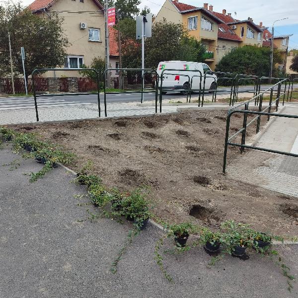 Zöldítettünk a Bartók Béla utcai gyalogátkelőnél