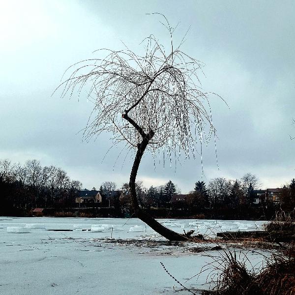 Változékony, téli időjárás előtt állunk