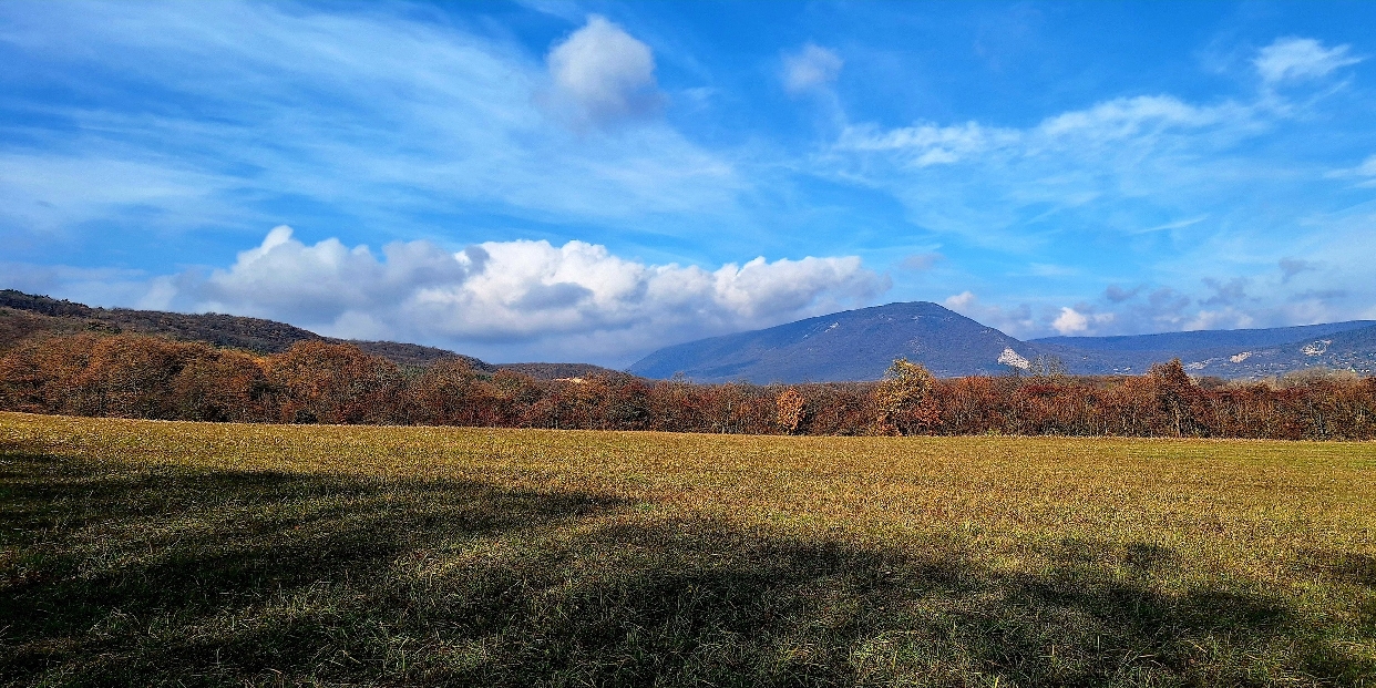 Ködös napok, halvány napsugarak – őszi hangulat a héten