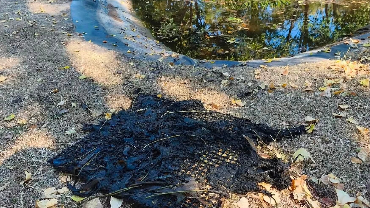 Teljeskörű tókarbantartás a Lahmkruam Parkban