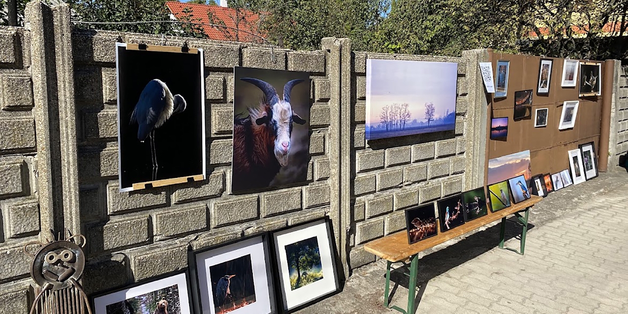 MűvészUtca 2025  - van „közünk” hozzá