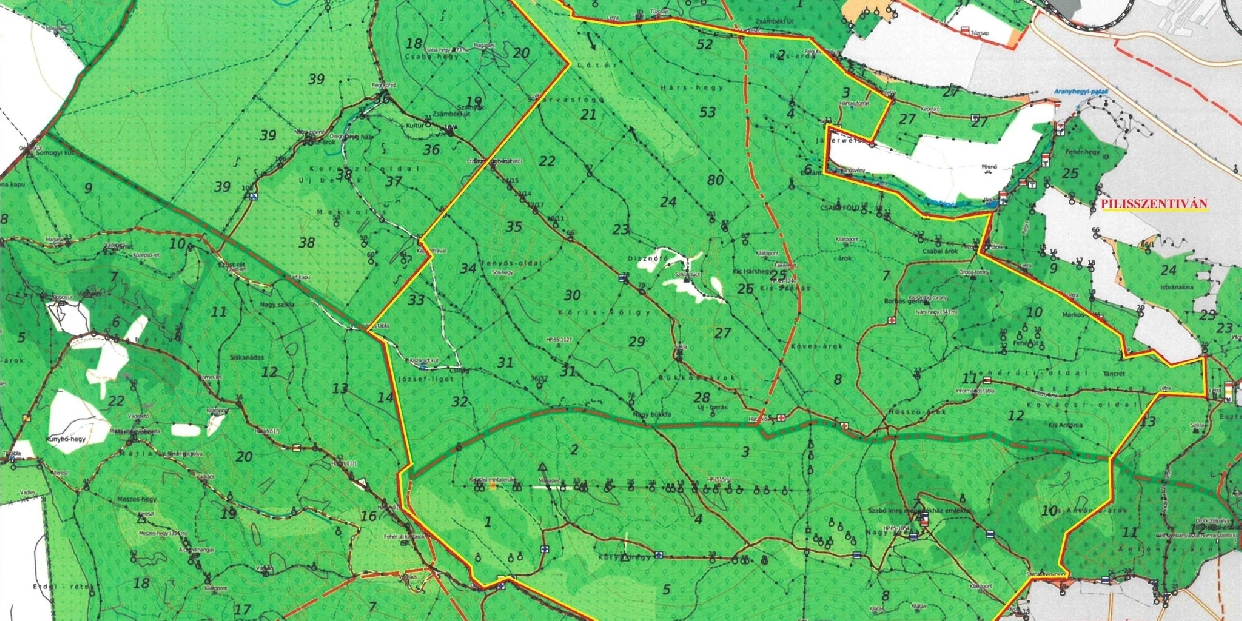Vadászat miatt lezárják holnap a Pilisszentiván és Piliscsaba melletti turistautakat