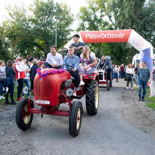 Közeledik a szüreti felvonulás és bál