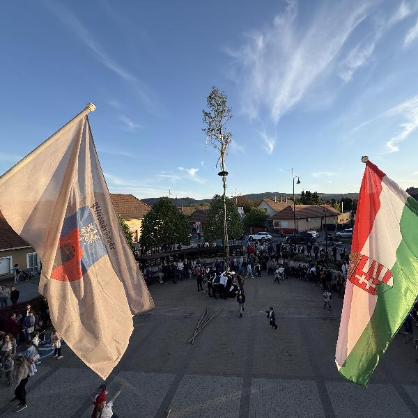 Májusfa a Fő téren