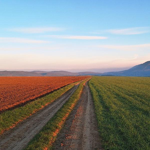 Szeles idő sok napsütéssel