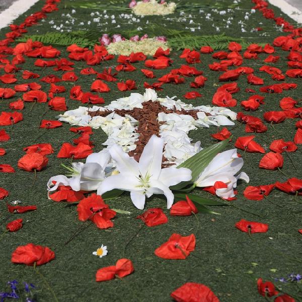 Gyönyörű virágszőnyeg  készült Vörösváron az Úrnapján  – Galéria