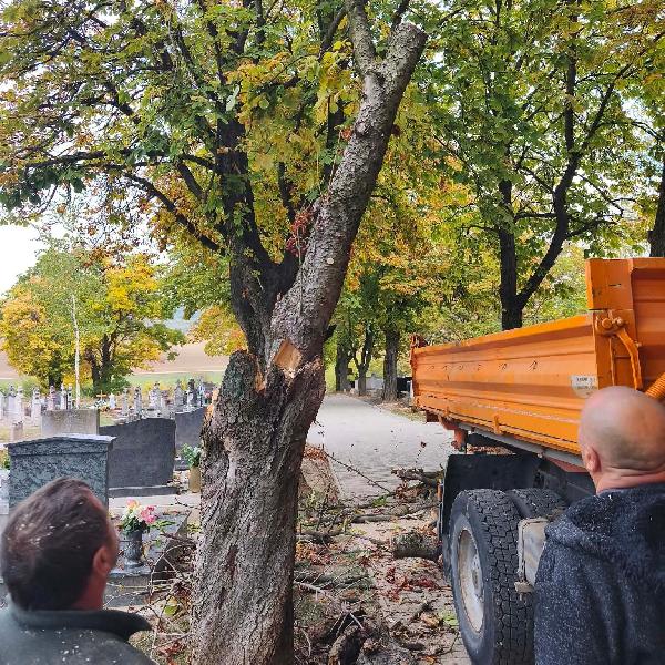 Folyamatosan zajlanak az őszi munkálatok a vörösvári temetőben