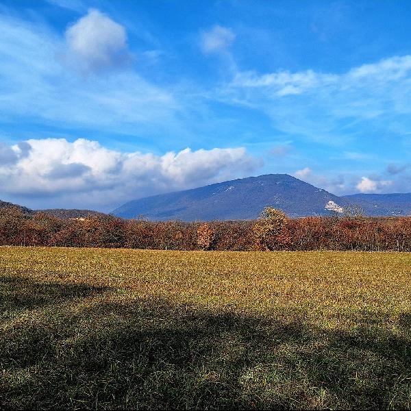 Ködös napok, halvány napsugarak – őszi hangulat a héten
