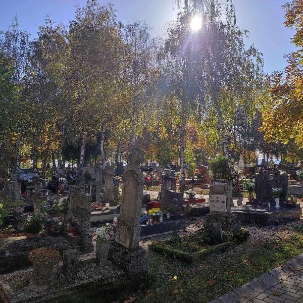 Sírhelyrendezés a temetőben