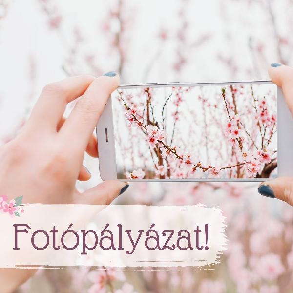 Elrajtolt a Pilisvörösvár tavaszi pompában fotópályázat szavazása