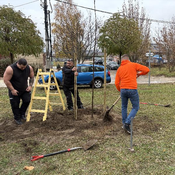 Zöldül Vörösvár – 50 új facsemete a REÁL GROUP felajánlásával