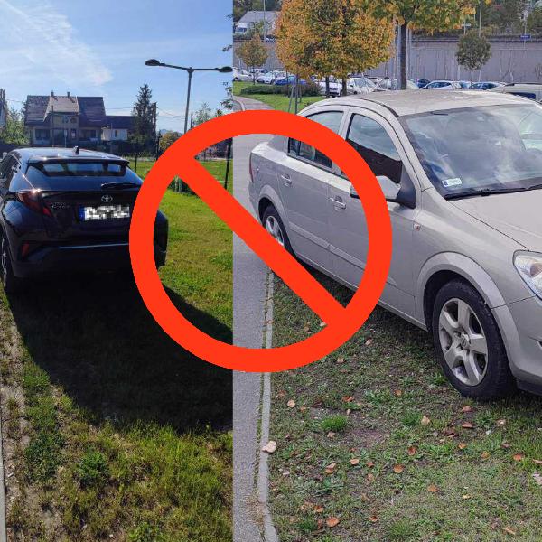 Miért ne parkoljunk zöldfelületre?