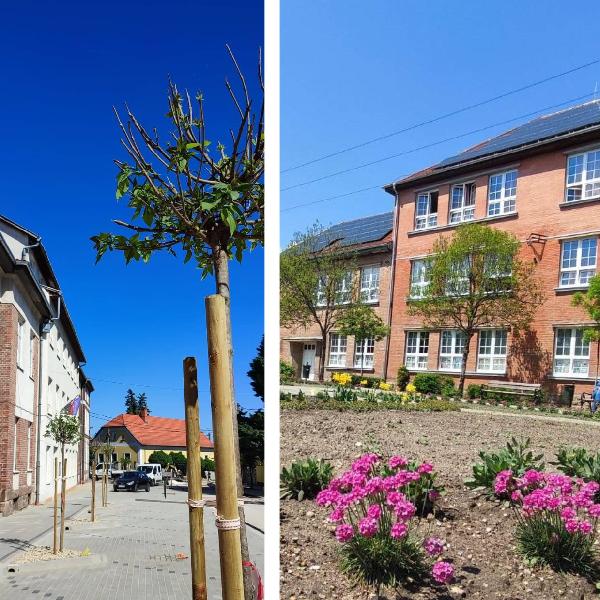 A Pilisvörösvári általános iskolák felvételi körzetei a 2026/2027. tanévben