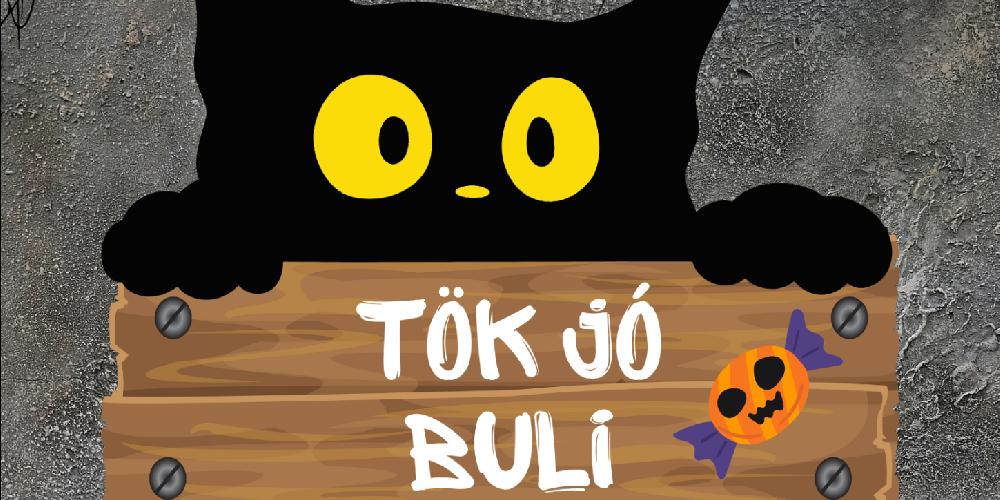 Tök jó buli