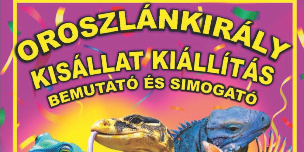 Oroszlánkirály kisállat kiállítás